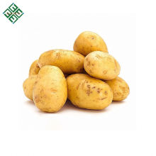 Bangladesh Fresh Vegetable Potato